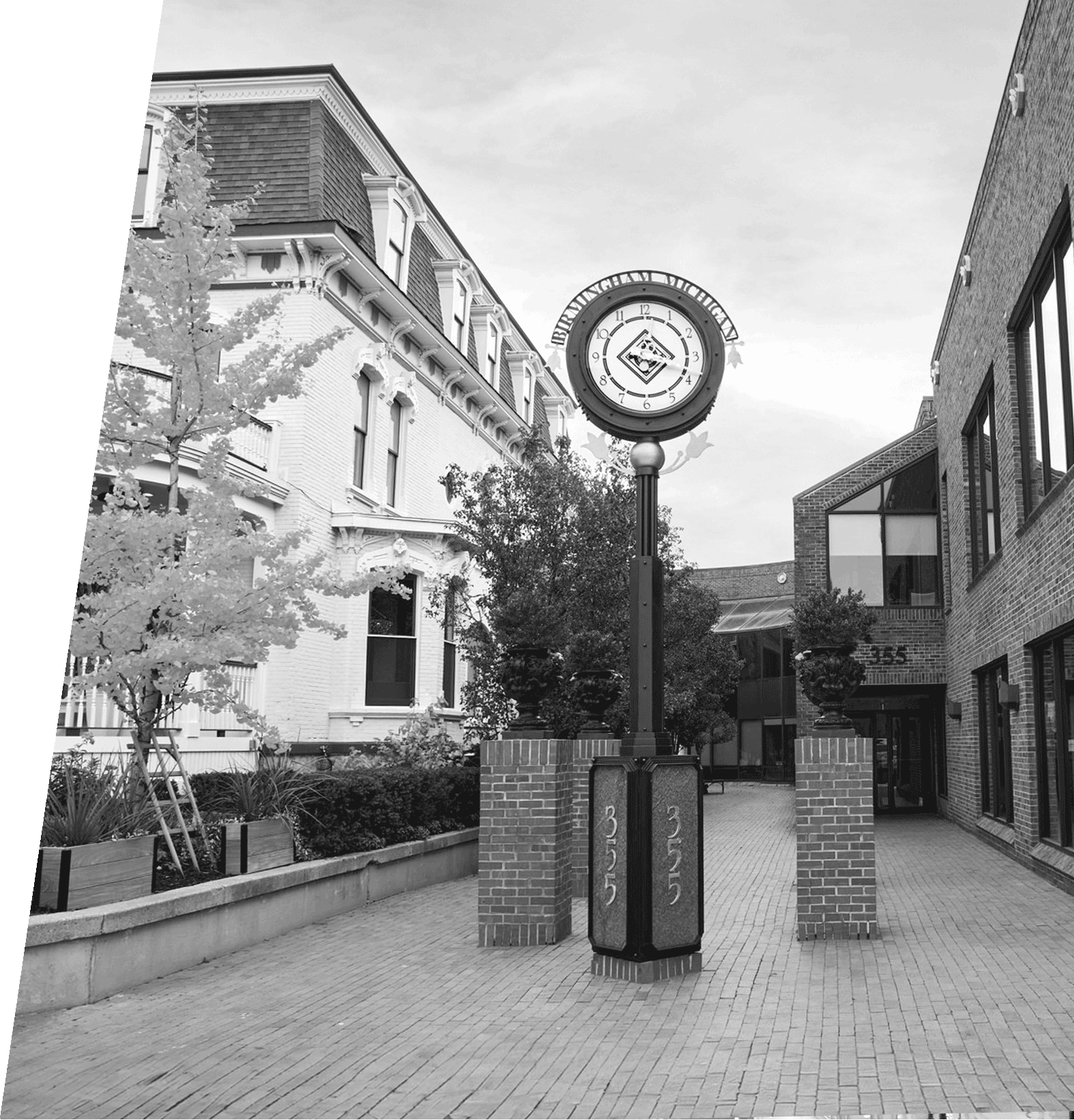 home-banner-image https://www.mcneilladr.com/wp-content/uploads/2025/04/home-banner-image.png